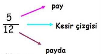 pay payda